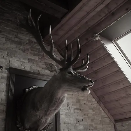 The Golden Eagle Appartamento